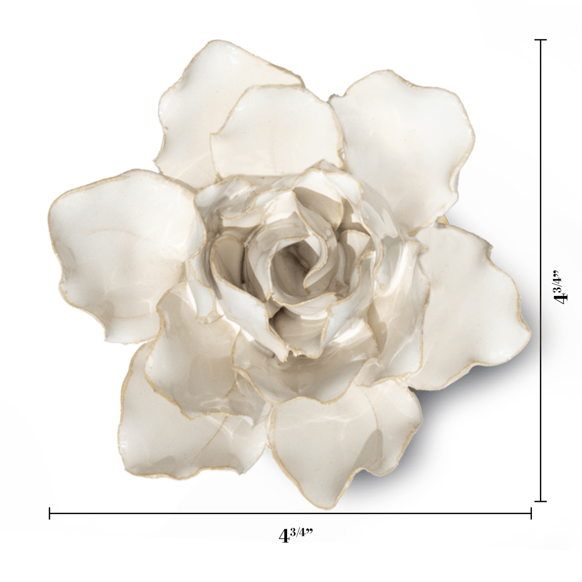 CO11 Ivory Stargazer Lily - Chive US Wholesale