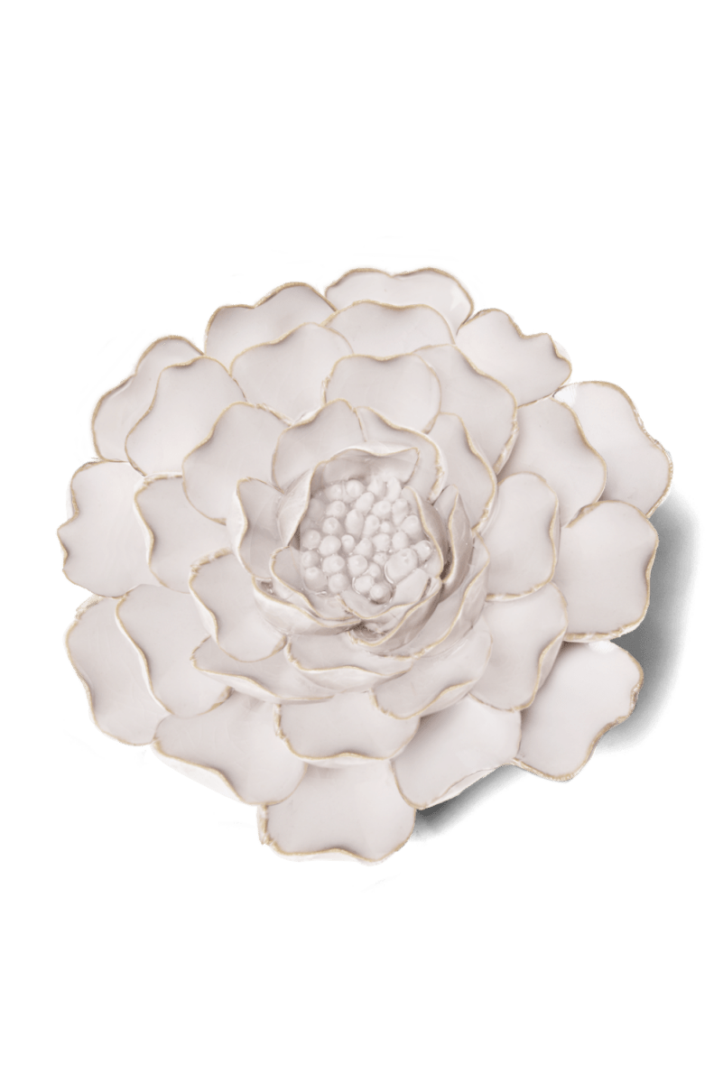 CO13 Ivory Charm Peony - Chive US Wholesale