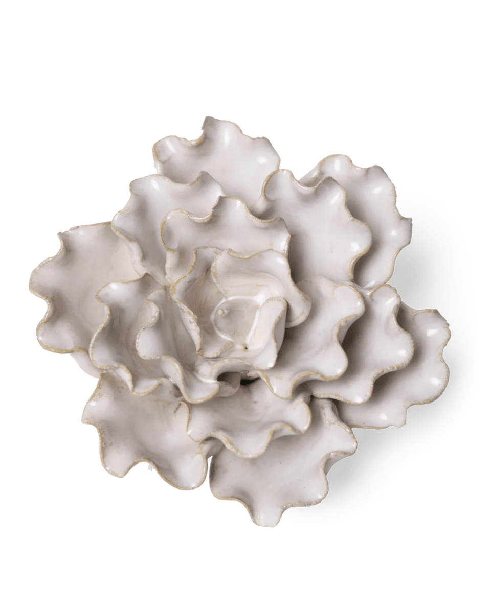 CO14 Ivory Sea Lettuce Medium - Chive US Wholesale