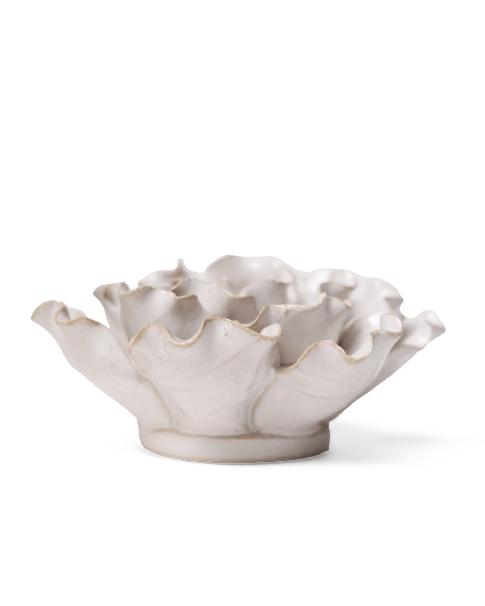 CO14 Ivory Sea Lettuce Medium - Chive US Wholesale