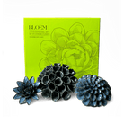 Ceramic Flower Bloem Box Set - Chive US Wholesale