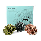 Ceramic Flower Blomma Box Set - Chive US Wholesale