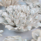 Ceramic Flower Coastal Curated Collection #2 - Chive US Wholesale