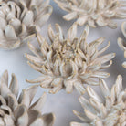 Ceramic Flower Coastal Curated Collection #5 - Chive US Wholesale