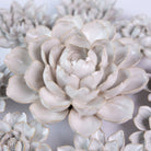 Ceramic Flower Coastal Curated Collection #7 - Chive US Wholesale