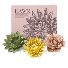 Ceramic Flower Dawn Box Set - Chive US Wholesale