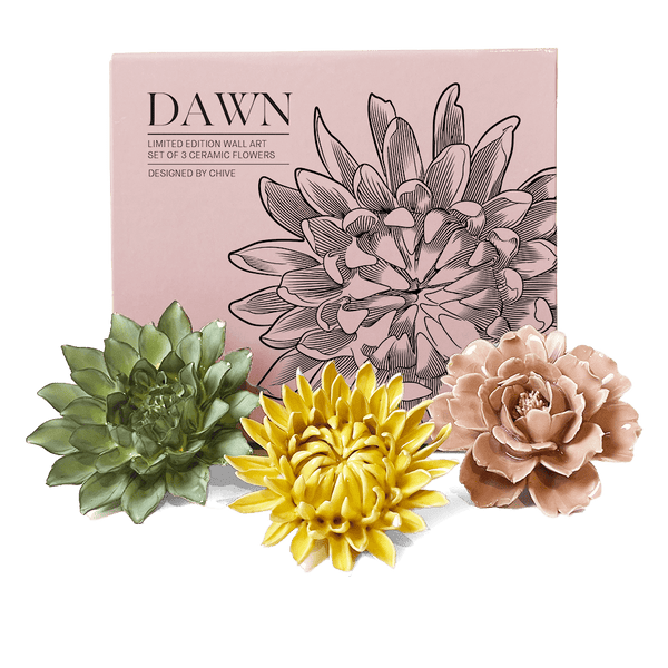 CODAWN-W-1_grande.png?v=1750697155