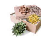 Ceramic Flower Dawn Box Set - Chive US Wholesale