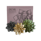 Ceramic Flower Dusk Box Set - Chive US Wholesale