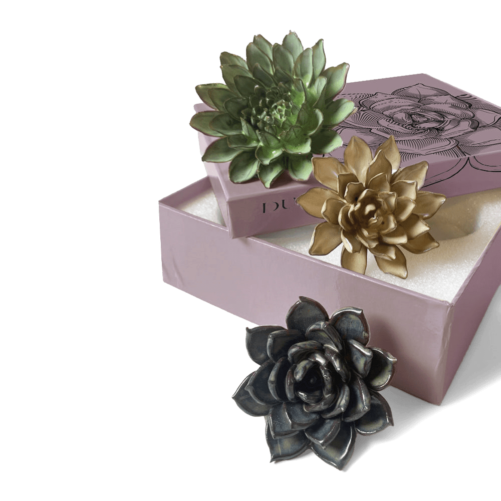 Ceramic Flower Dusk Box Set - Chive US Wholesale