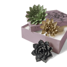 Ceramic Flower Dusk Box Set - Chive US Wholesale