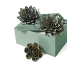 Ceramic Flower Night Box Set - Chive US Wholesale