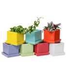 Cube & Saucer Ceramic Pot With Drainage Hole - Chive US Wholesale