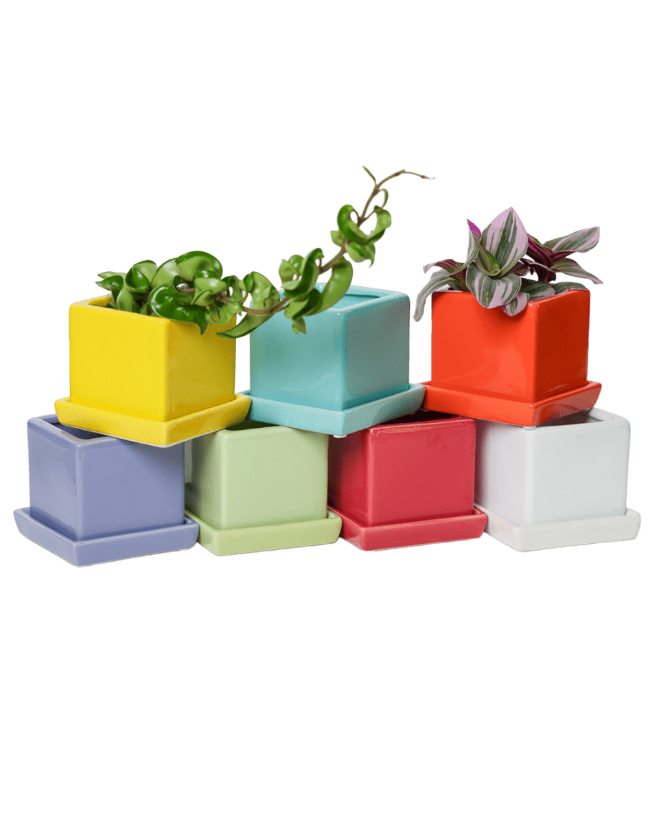 Cube & Saucer Ceramic Pot With Drainage Hole - Chive US Wholesale