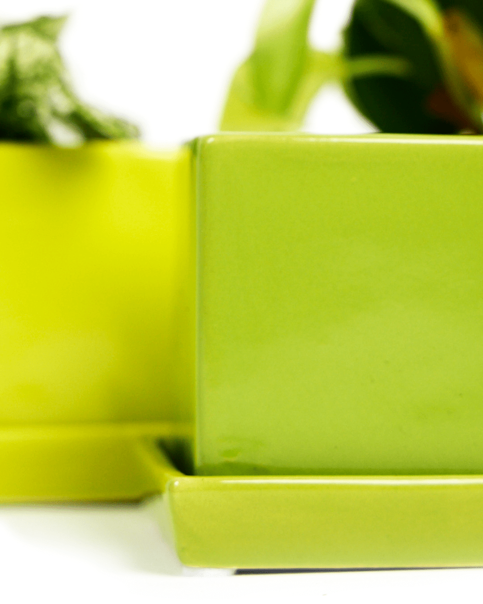 Cube & Saucer Ceramic Pot With Drainage Hole - Chive US Wholesale