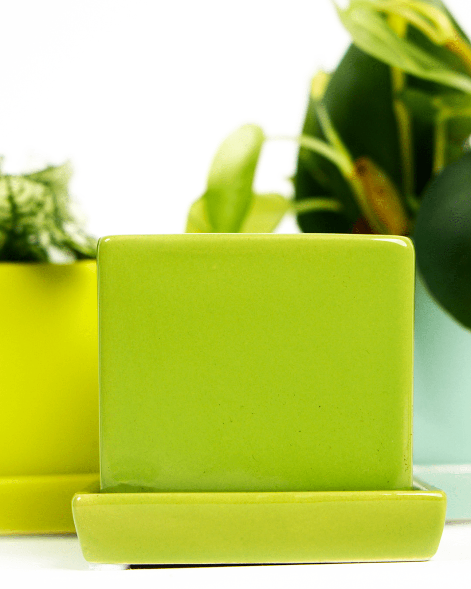 Cube & Saucer Ceramic Pot With Drainage Hole - Chive US Wholesale