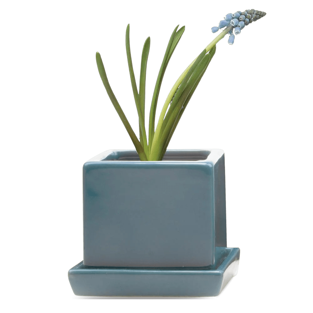 Cube & Saucer Ceramic Pot With Drainage Hole - Chive US Wholesale