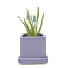 Cube & Saucer Ceramic Pot With Drainage Hole Kit