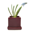 Cube & Saucer Ceramic Pot With Drainage Hole Kit