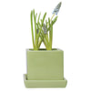 Cube & Saucer Ceramic Pot With Drainage Hole Kit