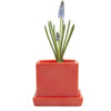 Cube & Saucer Ceramic Pot With Drainage Hole Kit