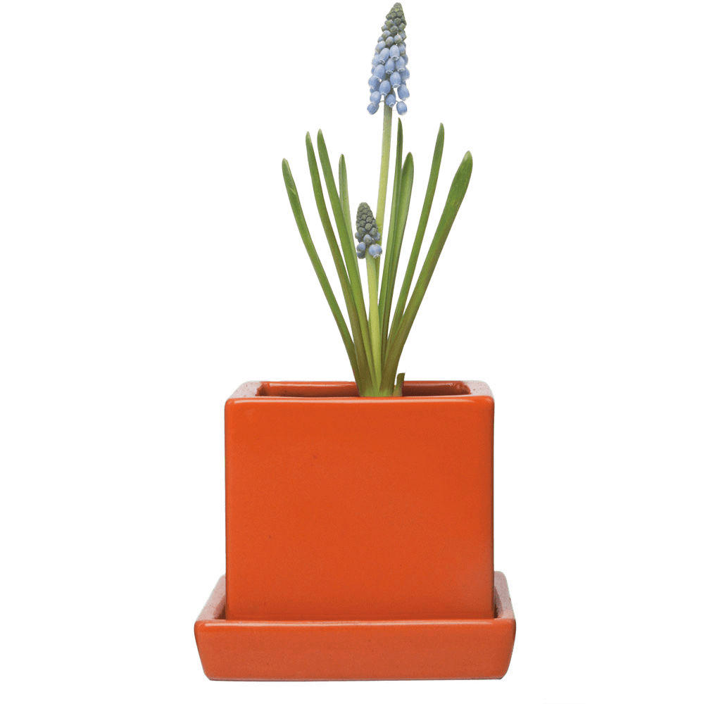 Cube & Saucer Ceramic Pot With Drainage Hole - Chive US Wholesale