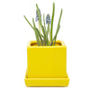 Cube & Saucer Ceramic Pot With Drainage Hole Kit