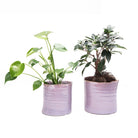 Channa Ceramic Planter Pot - Chive US Wholesale