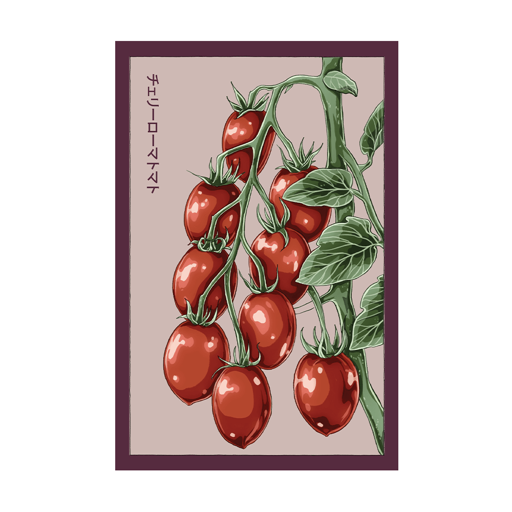 Cherry Roma Tomato Vegetable Seeds Packet - Chive US Wholesale