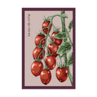 Cherry Roma Tomato Vegetable Seeds Packet - Chive US Wholesale
