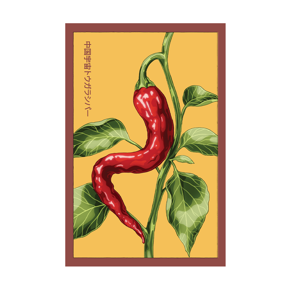 Chinese Space Pepper Vegetable Seeds Packet - Chive US Wholesale