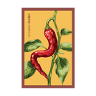 Chinese Space Pepper Vegetable Seeds Packet - Chive US Wholesale