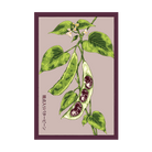 Christmas Pole Butterbean Vegetable Seeds Packet - Chive US Wholesale