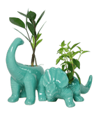 Ace Kit - Dinosaurs - Chive US Wholesale