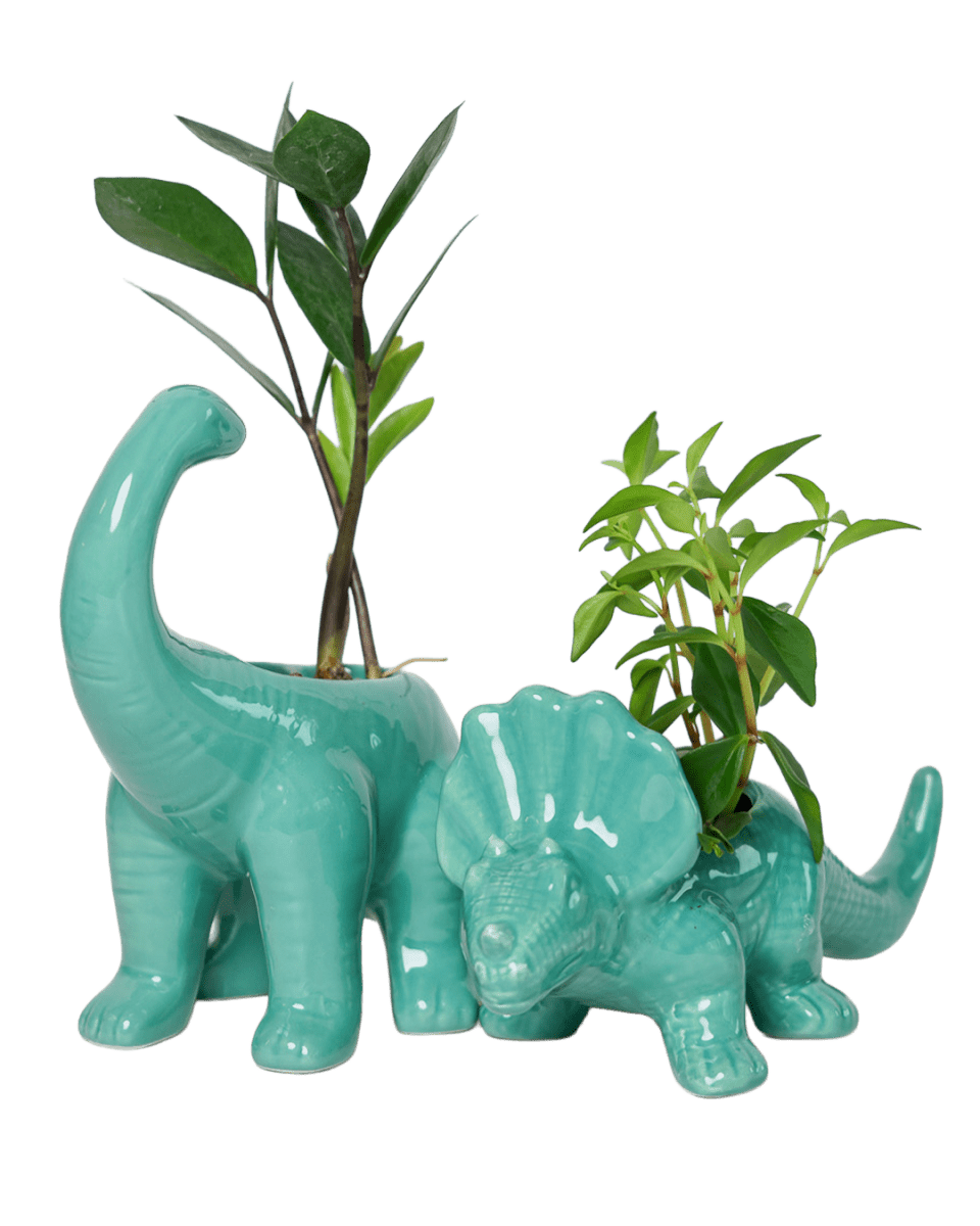 Ace Kit - Dinosaurs - Chive US Wholesale