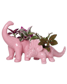 Ace Kit - Dinosaurs - Chive US Wholesale