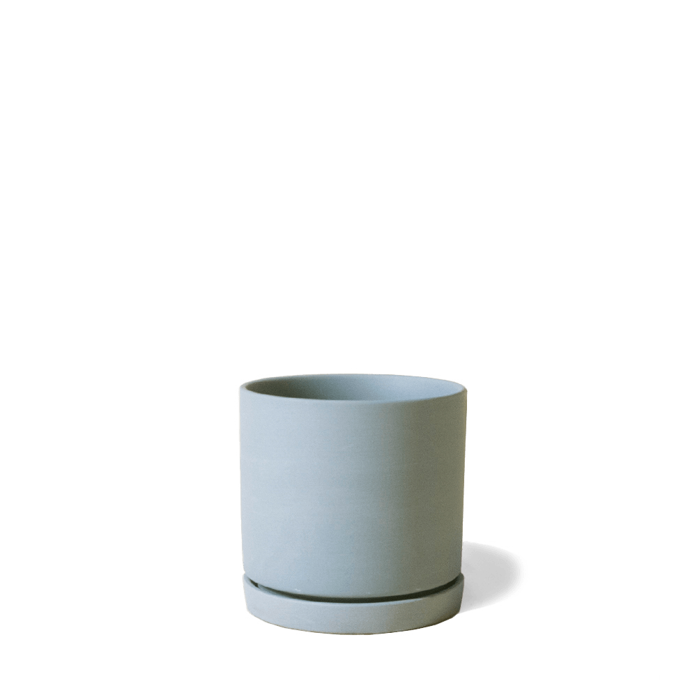 Dojo Porcelain Modern Indoor Plant Pot With Saucer - Chive US Wholesale