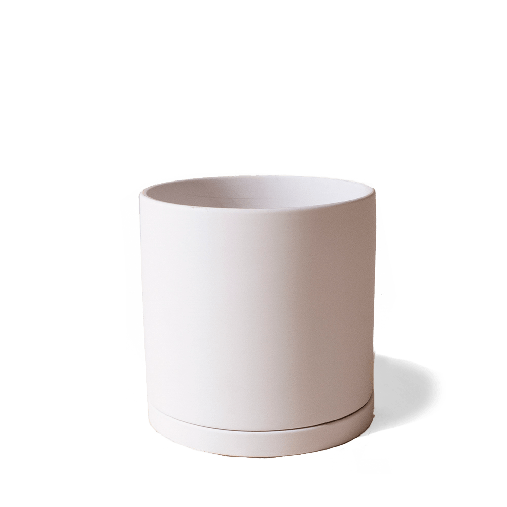 Dojo Porcelain Modern Indoor Plant Pot With Saucer - Chive US Wholesale