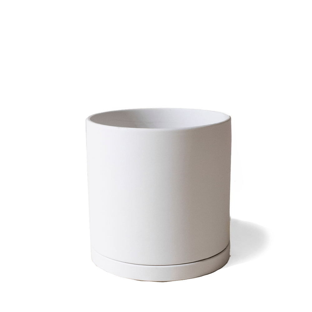 Dojo Porcelain Modern Indoor Plant Pot With Saucer - Chive US Wholesale