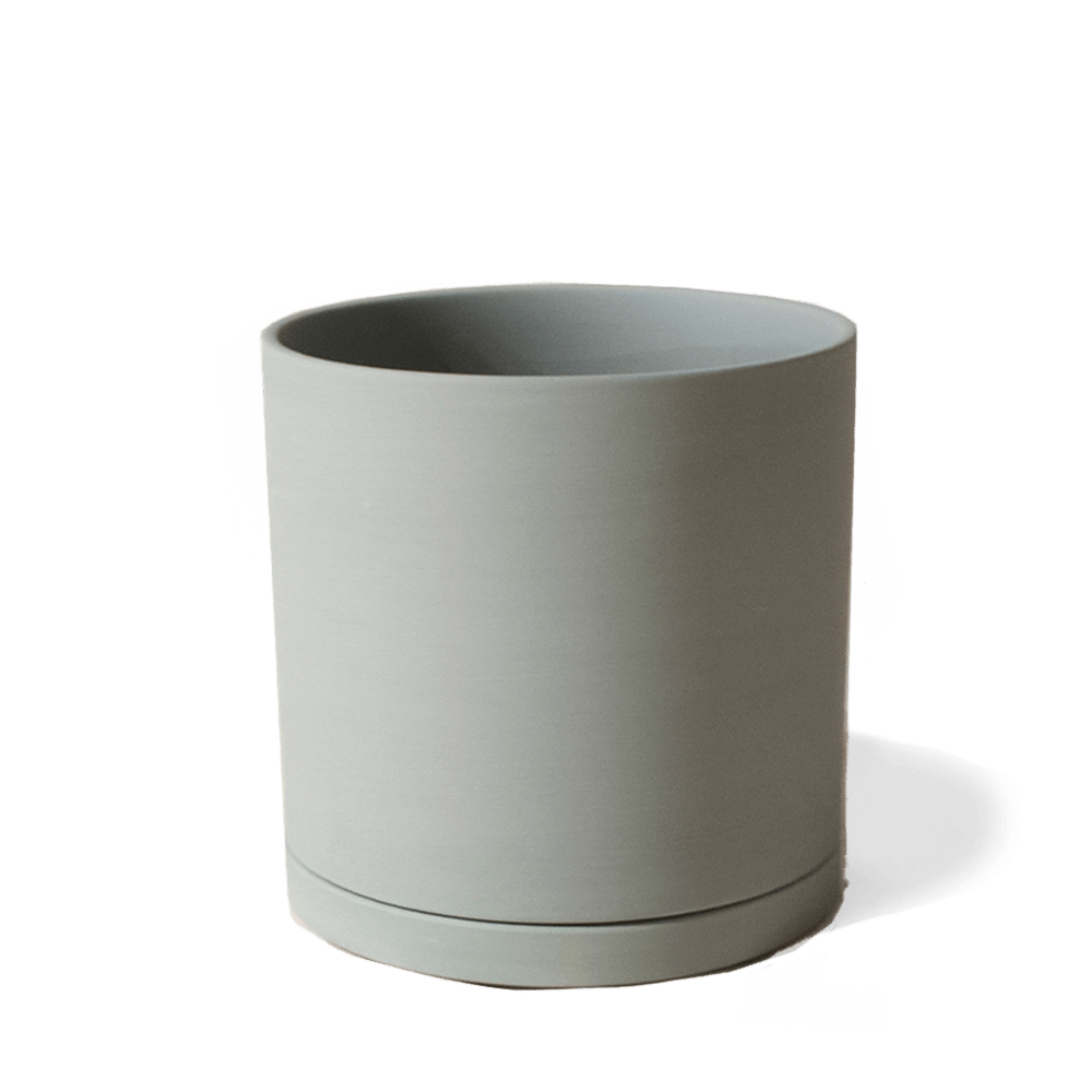 Dojo Porcelain Modern Indoor Plant Pot With Saucer - Chive US Wholesale