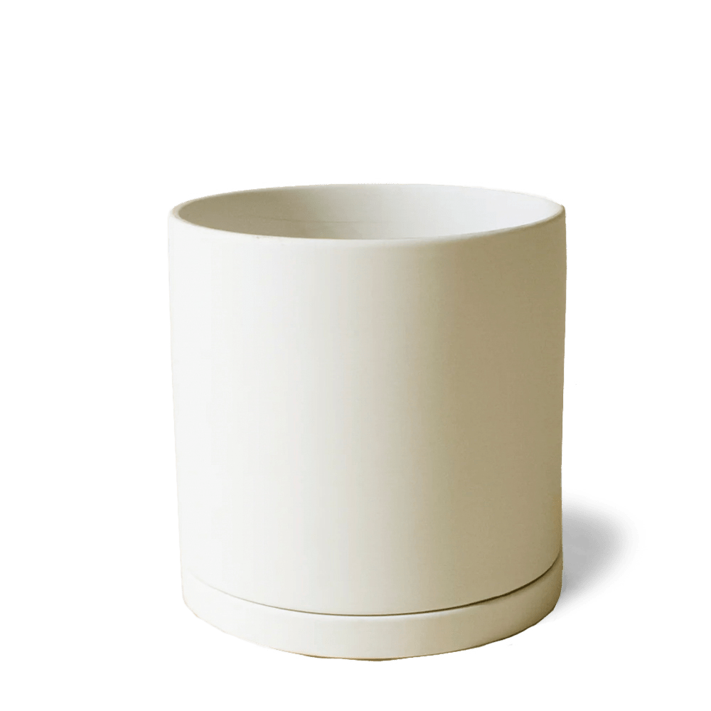 Dojo Porcelain Modern Indoor Plant Pot With Saucer - Chive US Wholesale