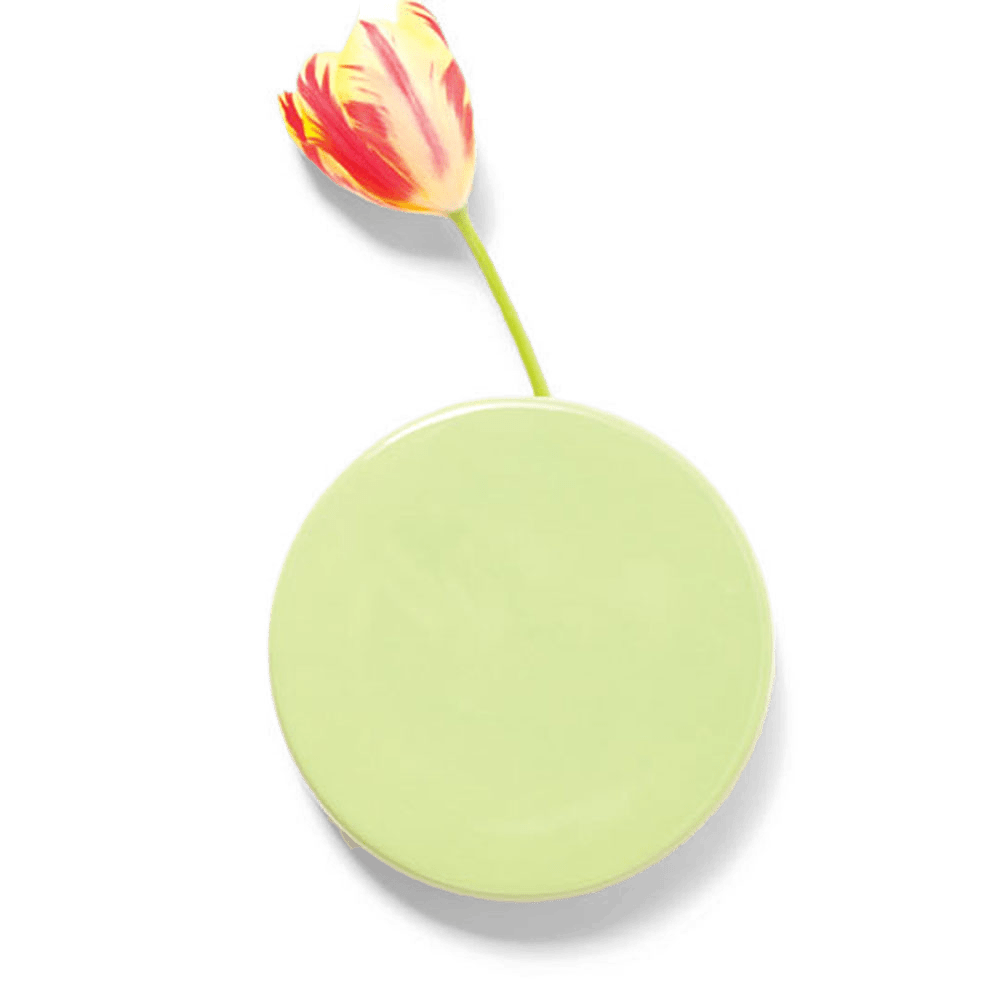 Wall Dot Ceramic Flower Vase Kit - Chive US Wholesale