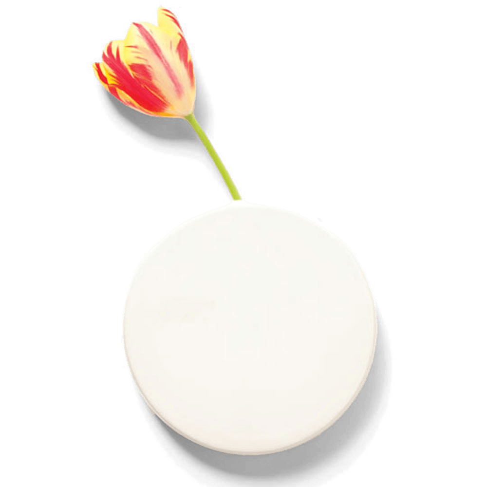 Wall Dot Ceramic Flower Vase Kit - Chive US Wholesale