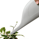 Duenas Ceramic Watering Jug - Chive US Wholesale