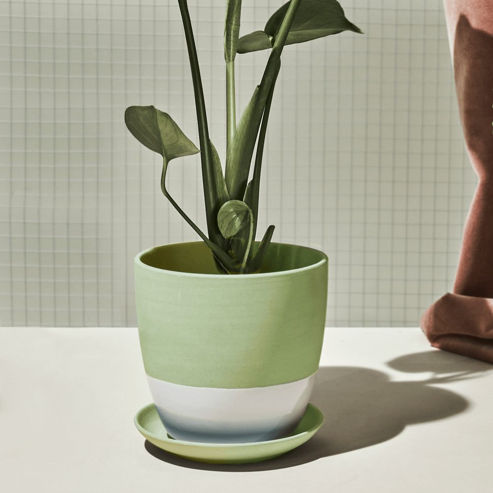 Dyad Porcelain Modern Indoor Plant Pot With Saucer - Chive US Wholesale
