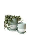 Dyad Porcelain Modern Indoor Plant Pot With Saucer Kits - Chive US Wholesale