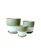 Dyad Pot And Saucer 48pc Kit - Small - Chive US Wholesale