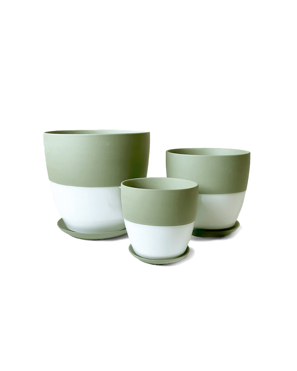 Dyad Pot And Saucer 48pc Kit - Small - Chive US Wholesale