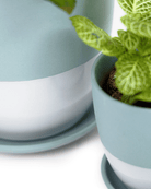 Dyad Porcelain Modern Indoor Plant Pot With Saucer - Chive US Wholesale