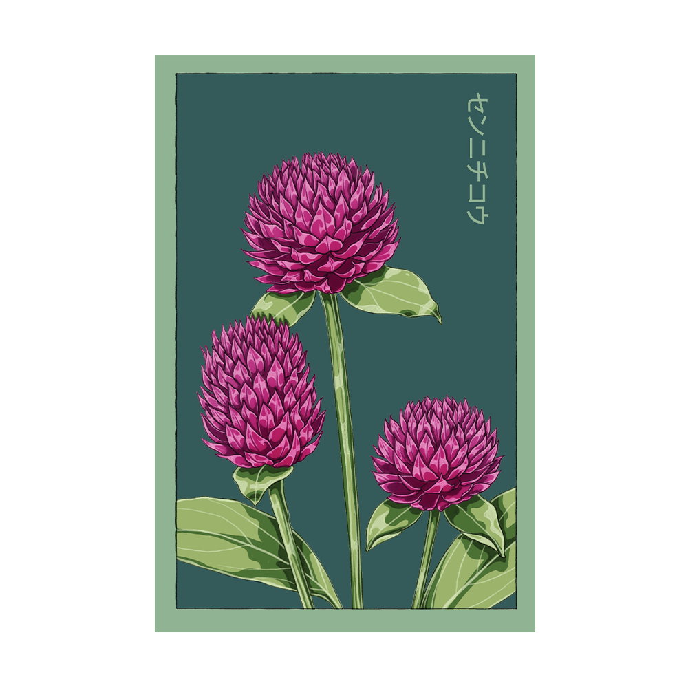 Dwarf Buddy Mix Flower Seeds Packet - Chive US Wholesale